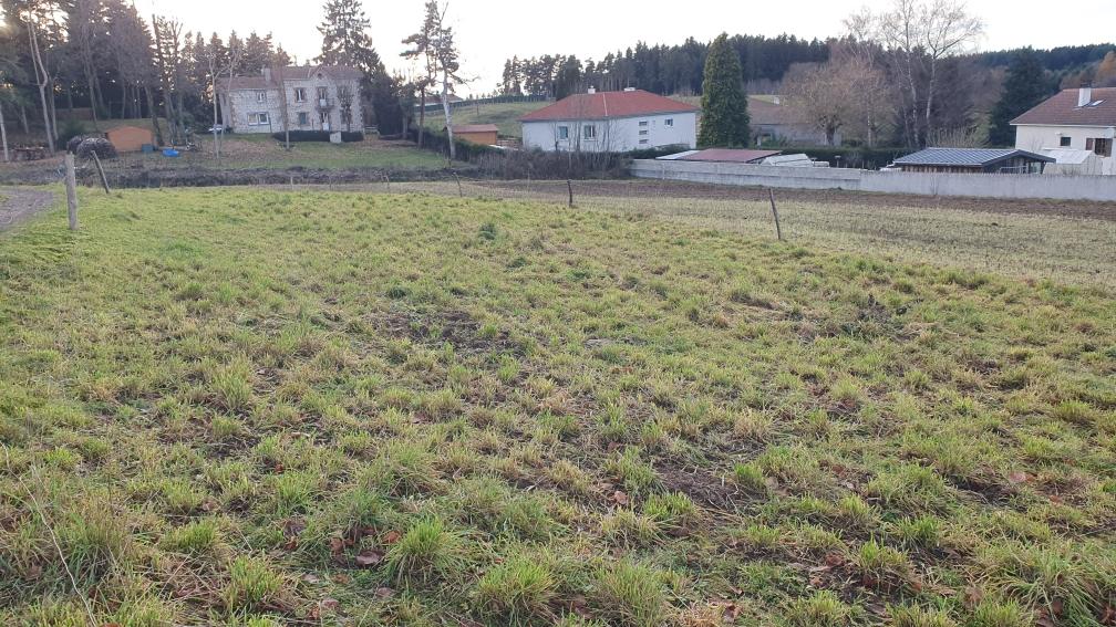 Terrain — Montfaucon-en-Velay